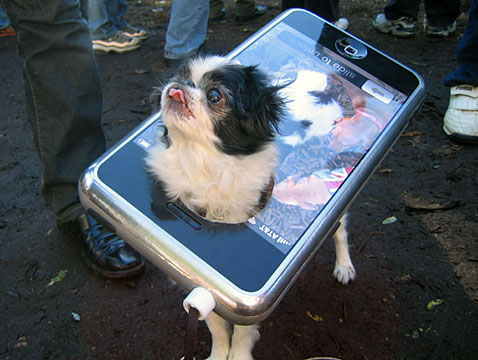 Dogs With Costumes