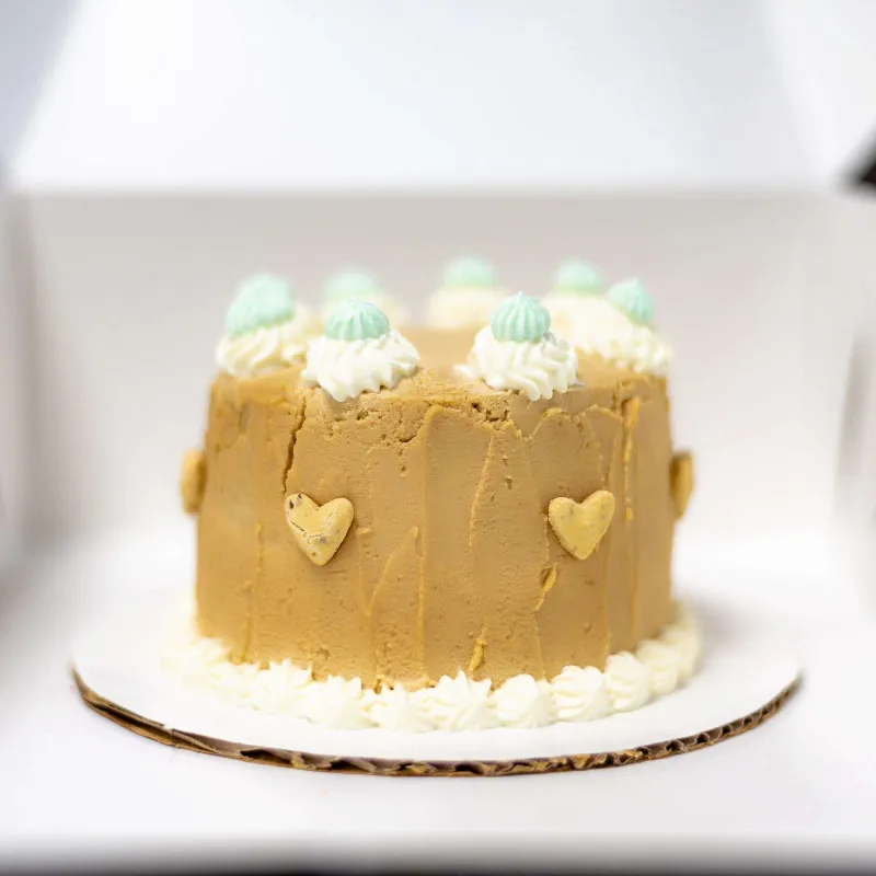 Dog birthday celebration at PAWS