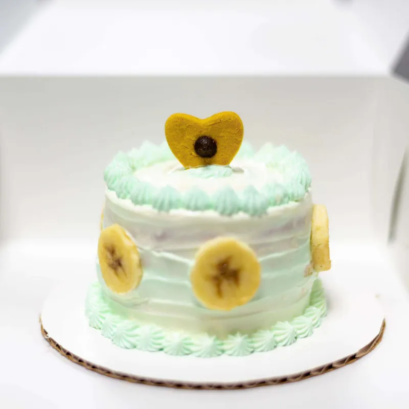 Dog posing for birthday photo