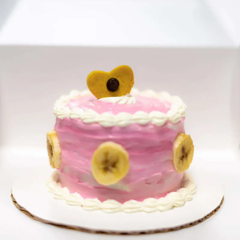 Birthday pawty celebration at PAWS Dog Daycare