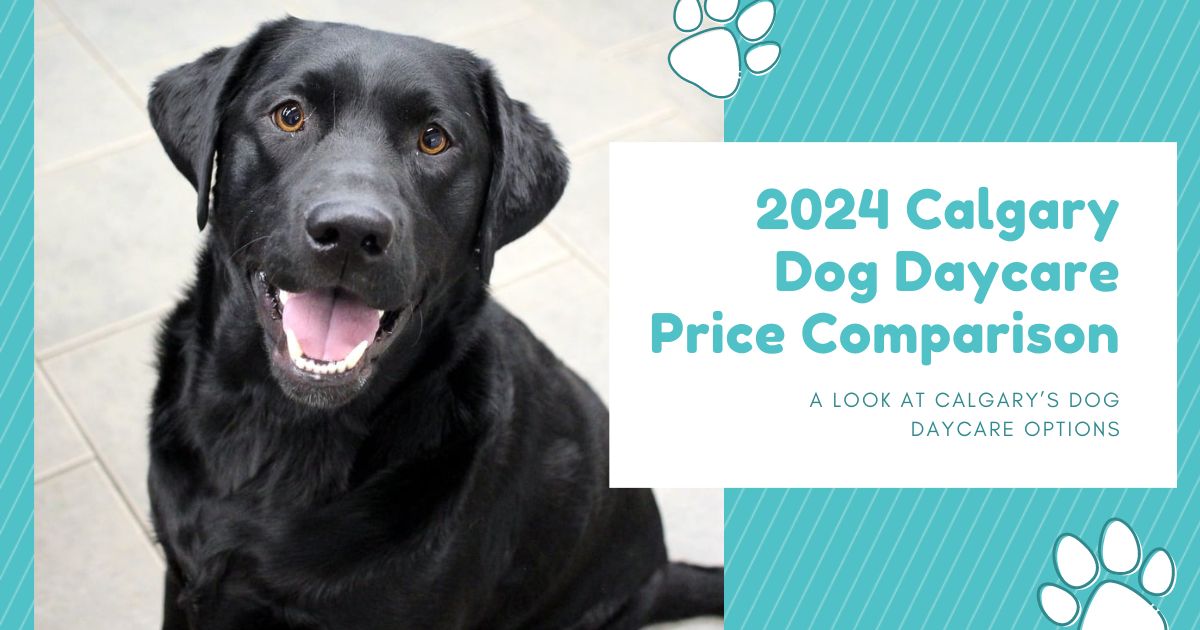 Calgary Dog Daycare Prices 2026 — $37–$59.50/day Compared (10 Facilities)