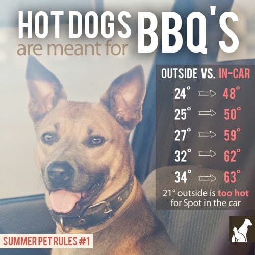 Summer Hot Dogs