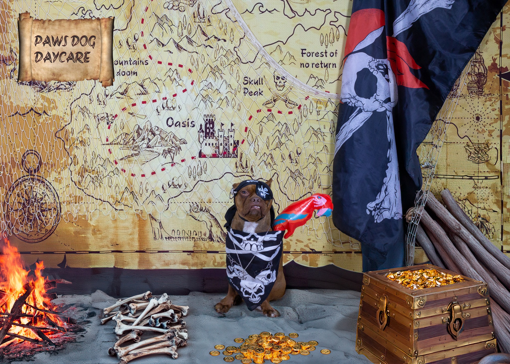 Hugo - June 2024 Dog Of The Month