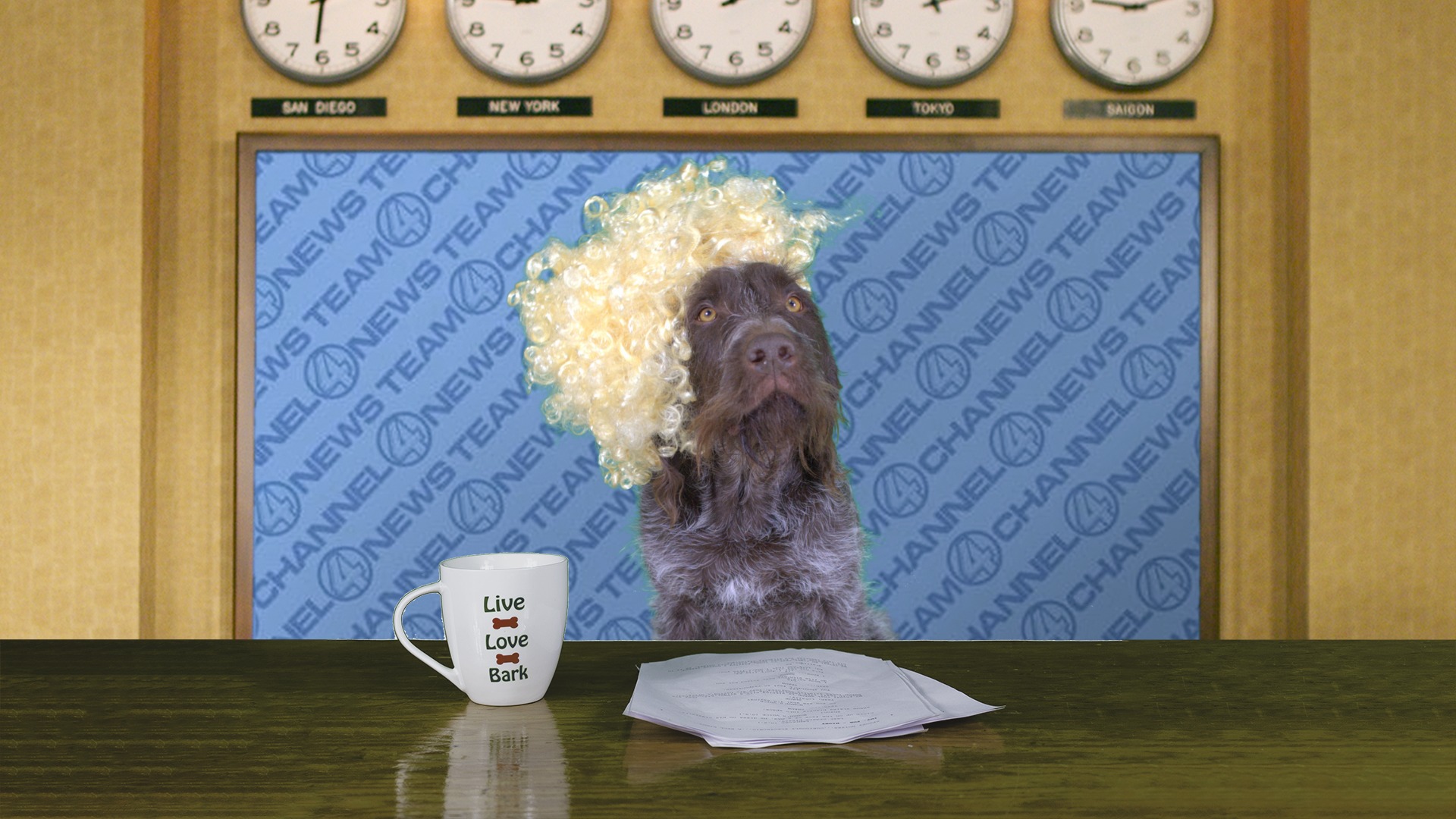 Oscar - October 2023 Dog Of The Month