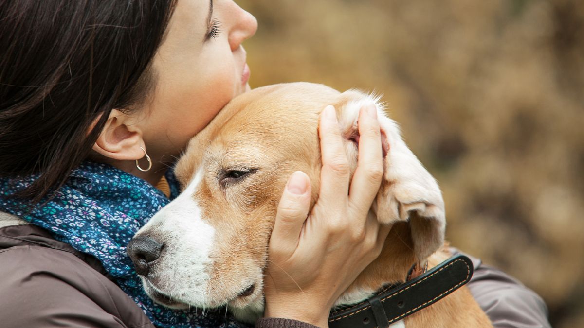 Pet Loss Support - How To Say Goodbye To Your Dog