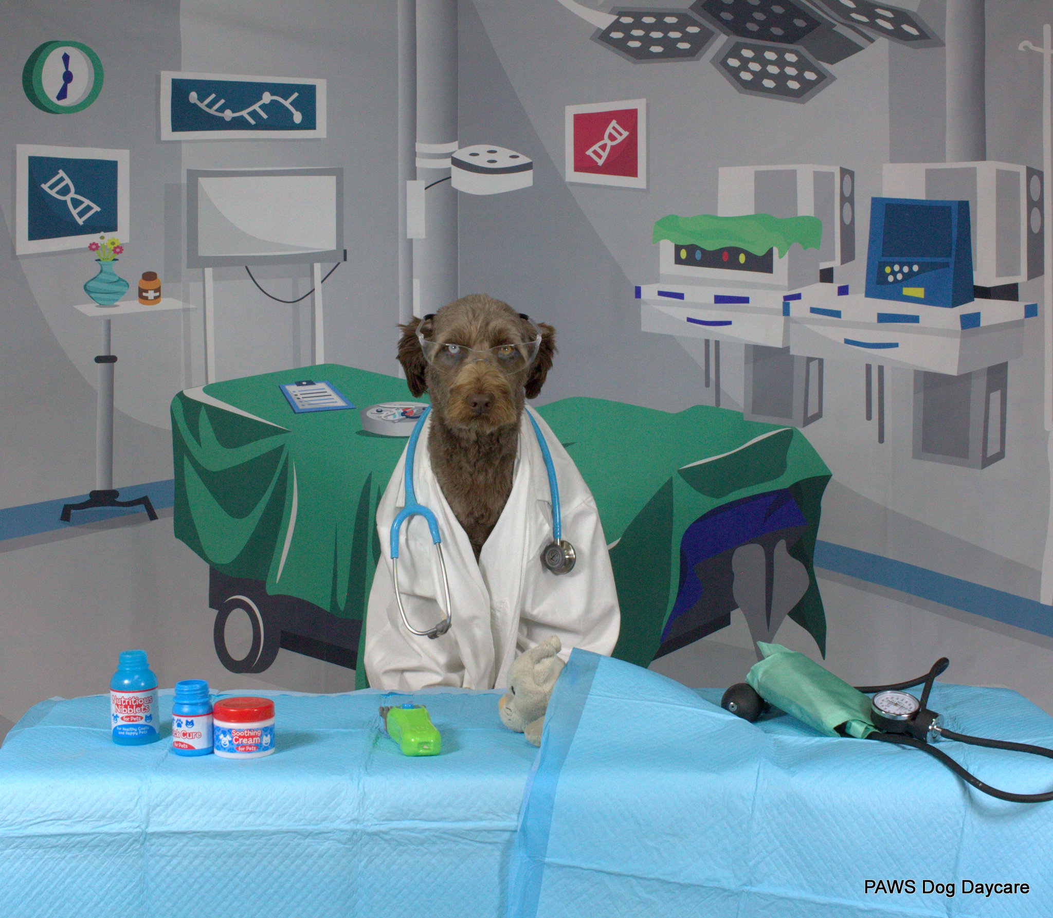 Ralph - January 2024 Dog Of The Month