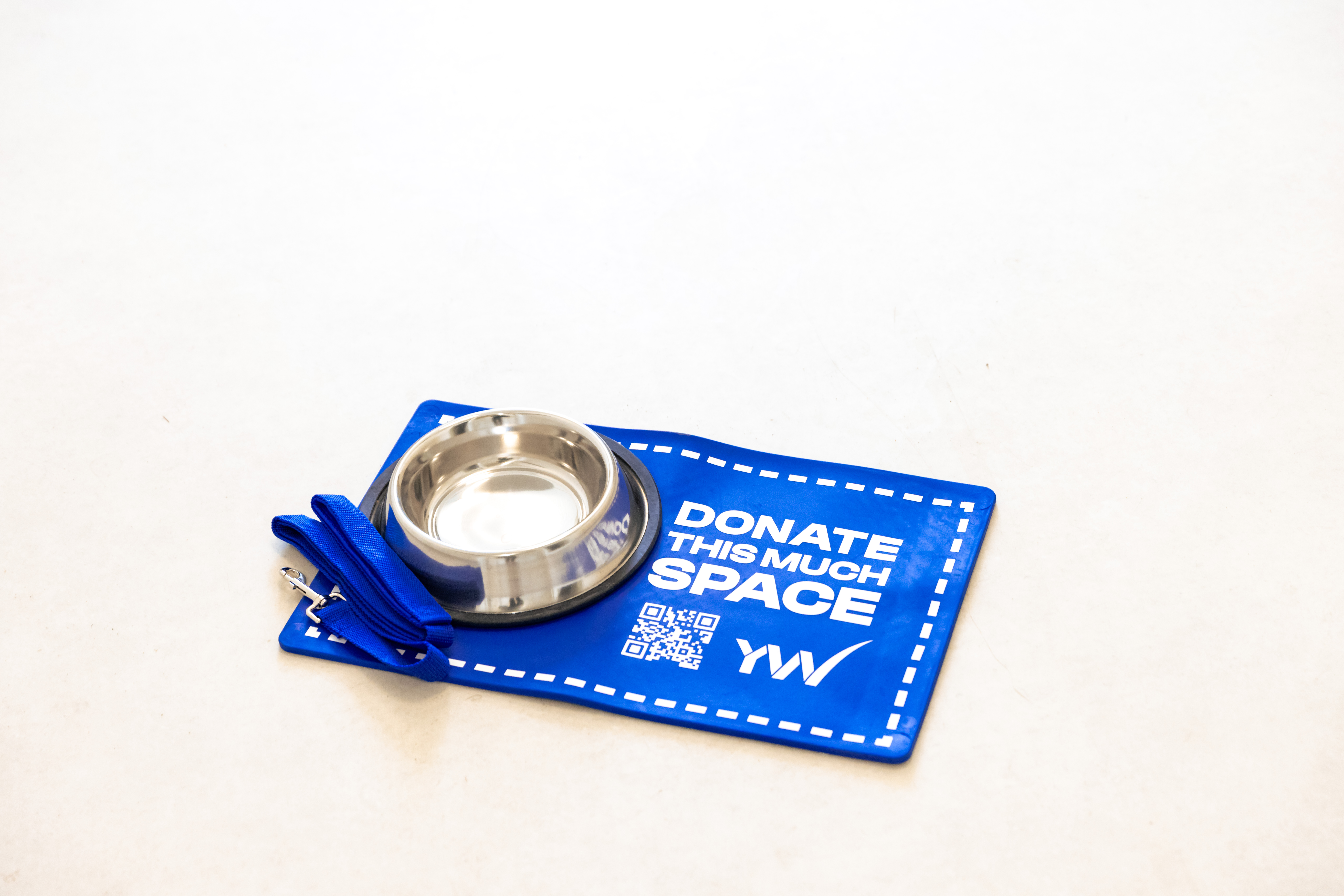 YW Calgary No Pet Left Behind: Our Initiative to Support Domestic Violence Survivors and Their Pets