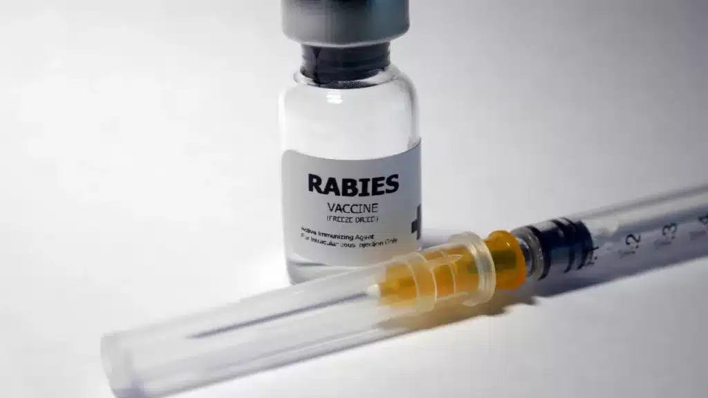 rabies vaccines for dogs