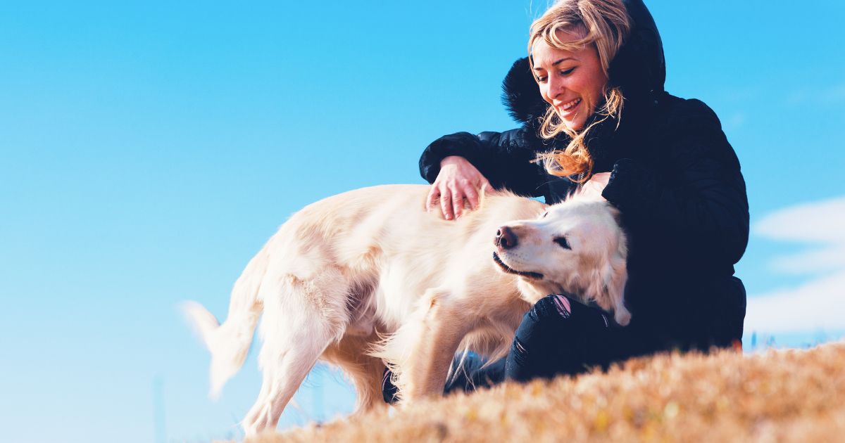 What Is Constructional Affection?