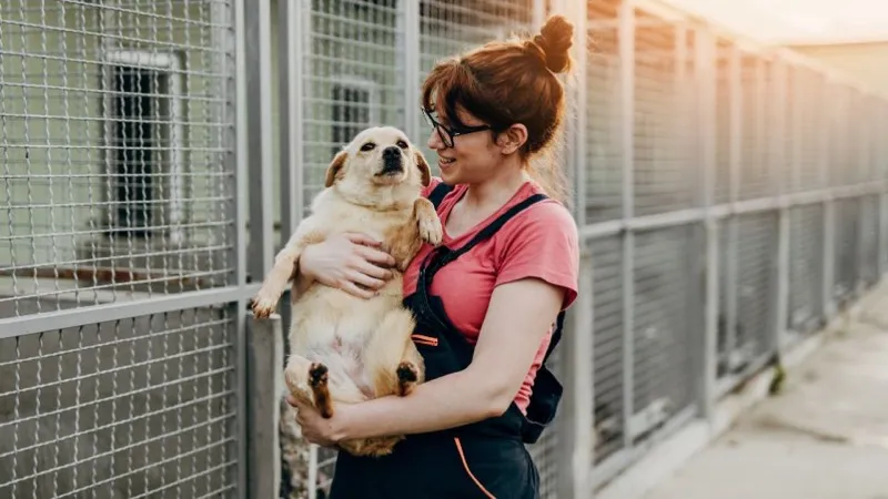 Shelter worker holding a newly rescued dog with care and affection