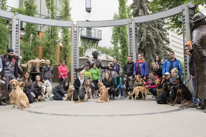 Professional pet photography at PAWS Dog Daycare Calgary