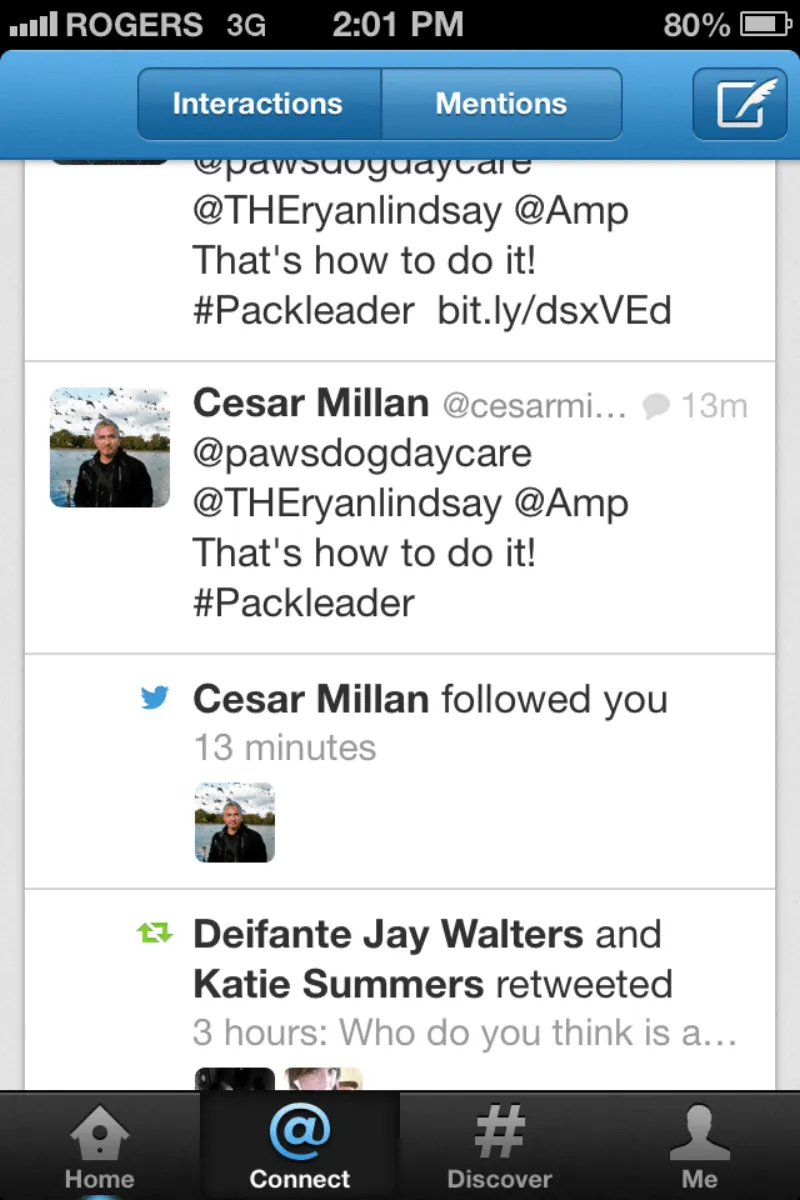 Vendredi from Doce Photography — PAWS Dog Daycare pet photographer