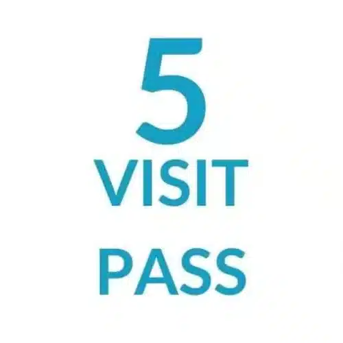 5 visit pass 1