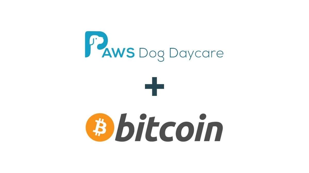 Calgary dog daycare accept Bitcoin for services PAWS Dog Daycare