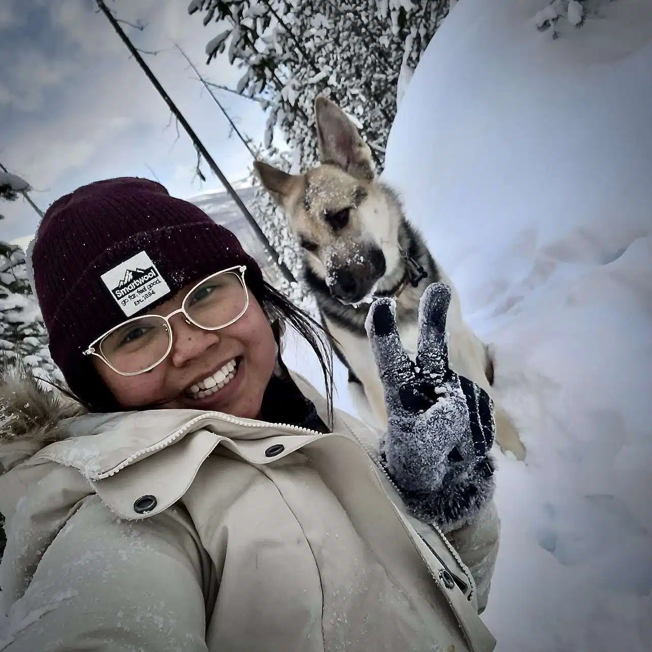 About Us PAWS Dog Daycare Calgary