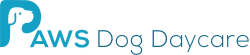 PAWS Dog Daycare