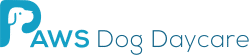 PAWS Dog Daycare Calgary