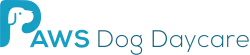 PAWS Dog Daycare Calgary