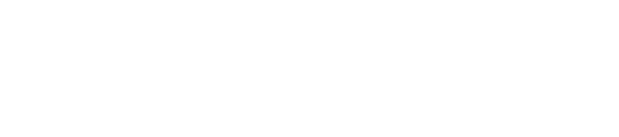 Calgary Pet Friendly Guide 16 PAWS Dog Daycare