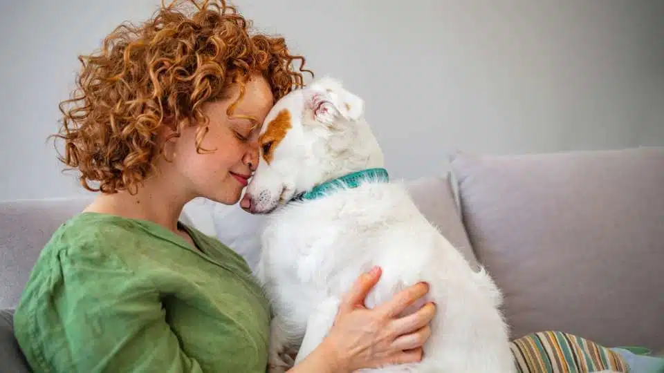 Calgary Pet Sitting Rates 5 Placeholder Image