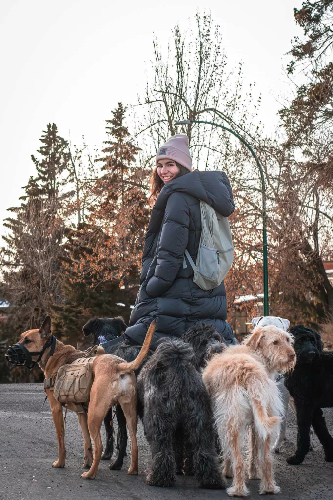 Central Calgary Dog Walkers