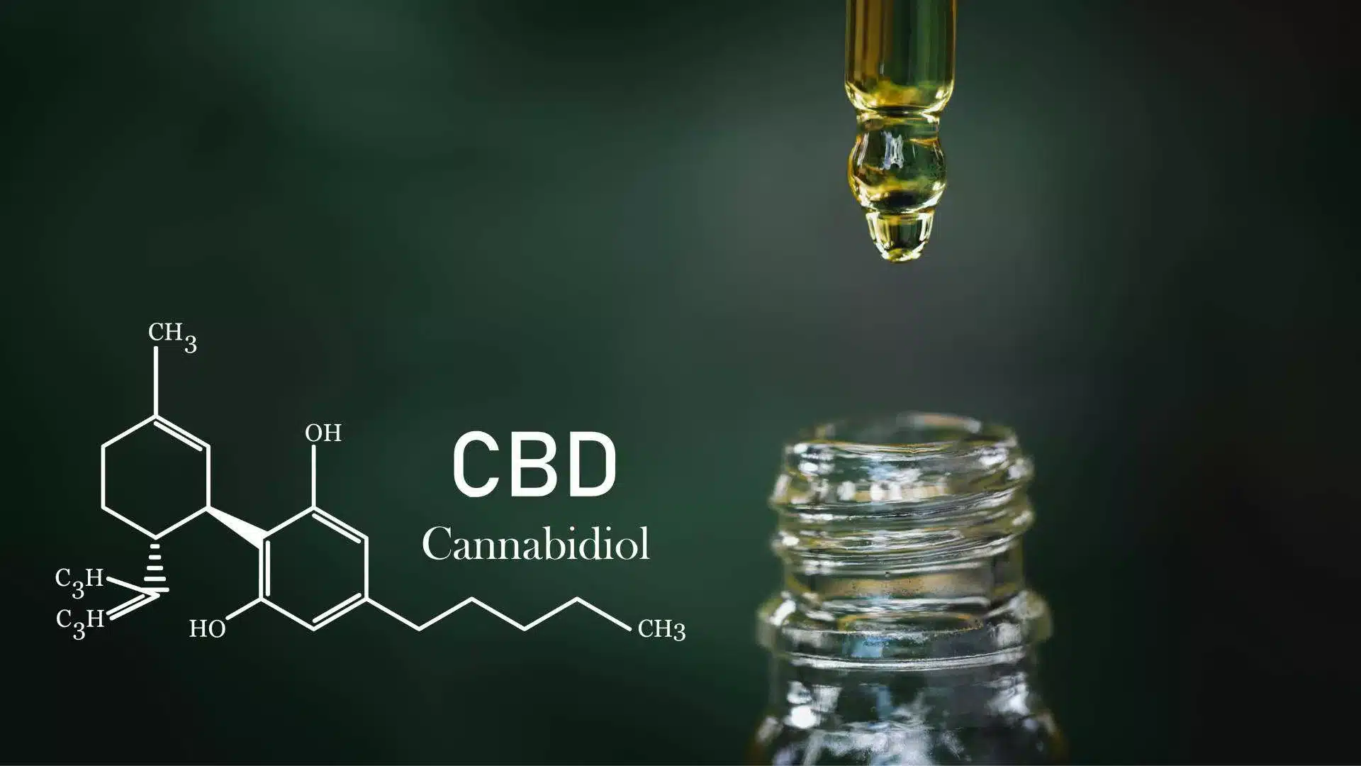 CBD Oil For Dogs