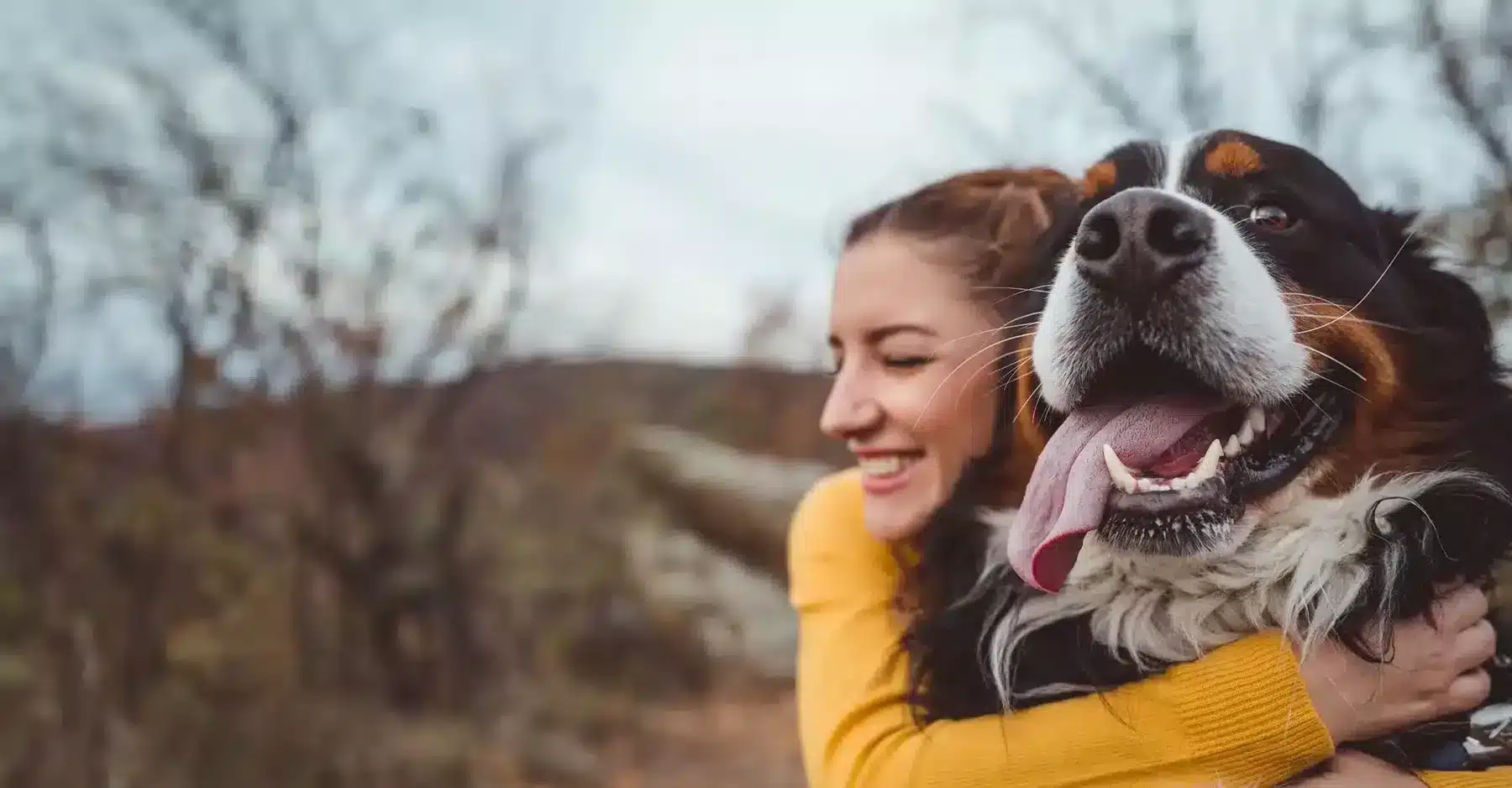 Calgary's Most Respected Dog Daycare PAWS Dog Daycare Calgary