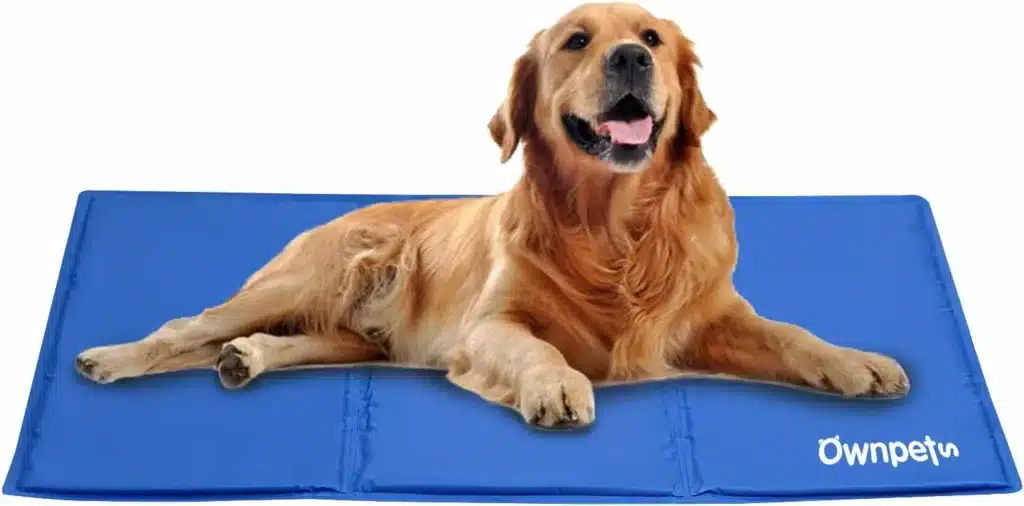 Cooling Dog Bed