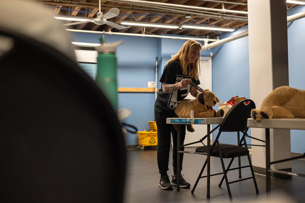 In-Person Pet First Aid Course 5 In-Person Pet First Aid Course - Image 5