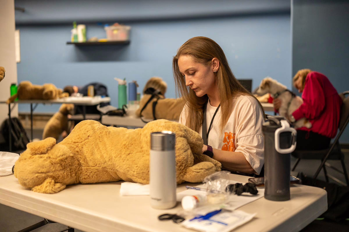 In-Person Pet First Aid Course 4 In-Person Pet First Aid Course - Image 4