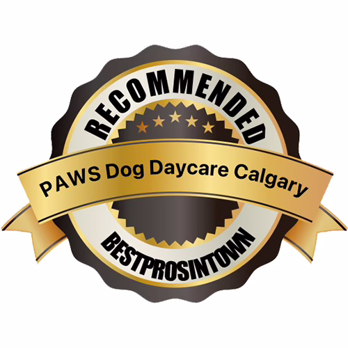 Calgary's Most Respected Dog Daycare | PAWS Dog Daycare Calgary 12 Canada Best Dog Grooming