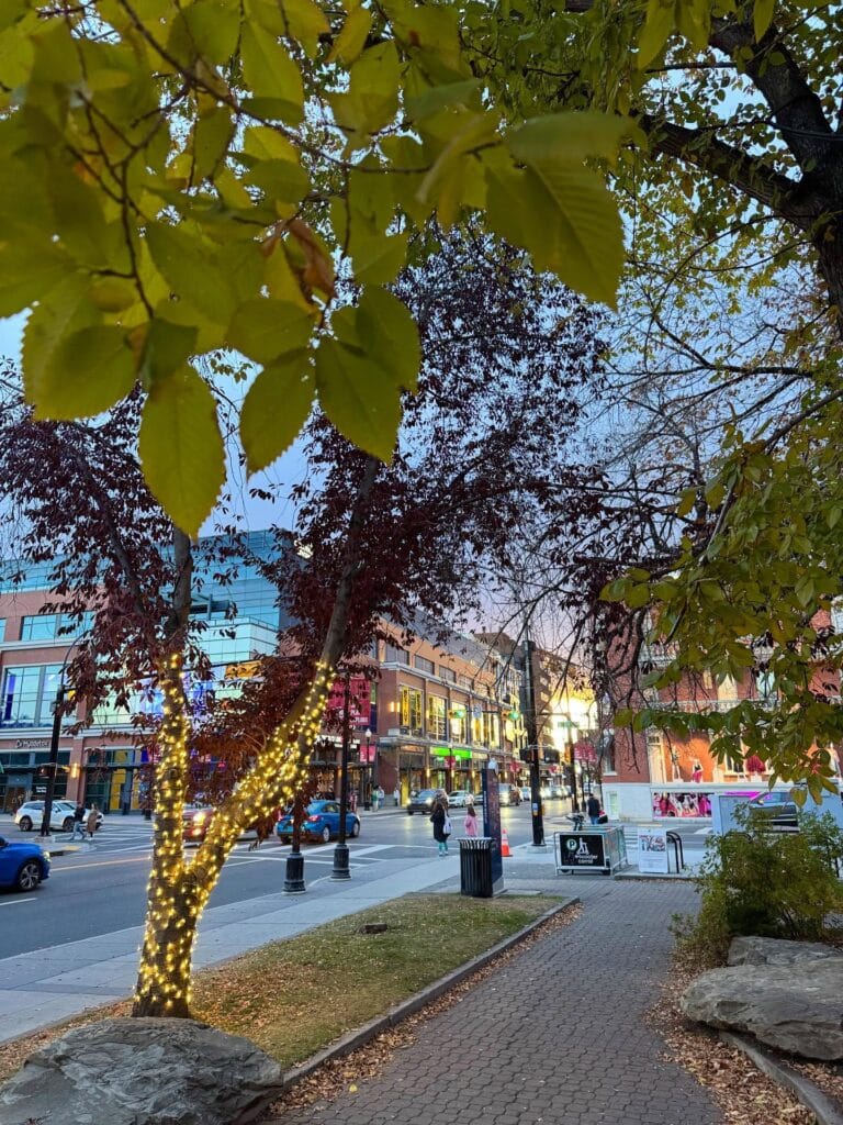 Calgary Pet Friendly Guide 3 IG: @17thavesw