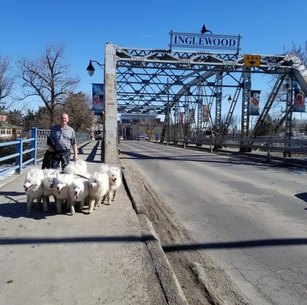 Calgary Pet Friendly Guide 5 IG: @inglewoodyyc