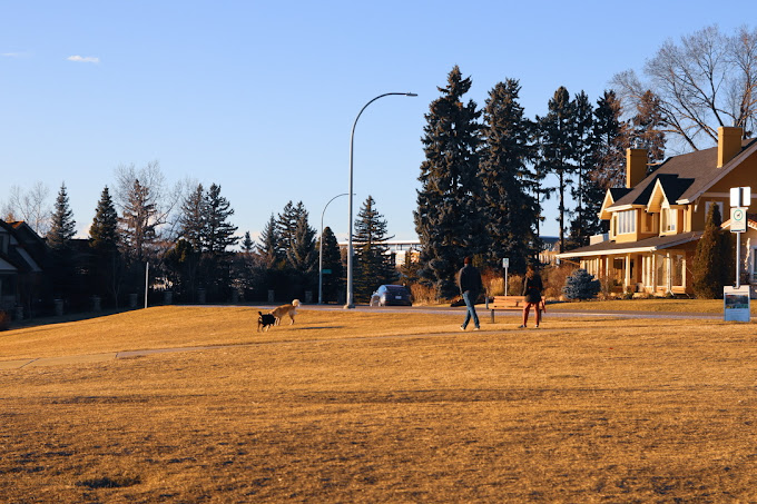 Calgary Pet Friendly Guide 14 Google Maps